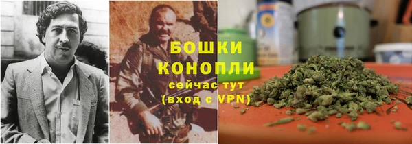 амф Володарск