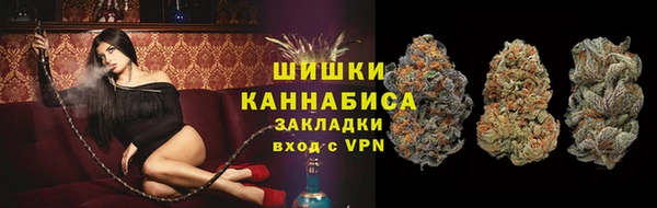 амф Володарск