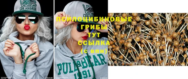 амф Володарск