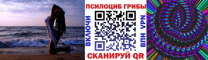 Галлюциногенные грибы GOLDEN TEACHER Пласт